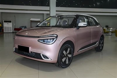 Dongfeng Nammi 01